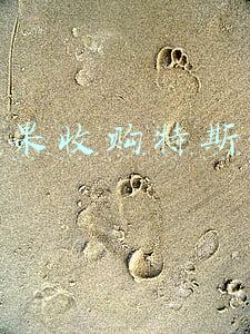 苹果收购特斯拉