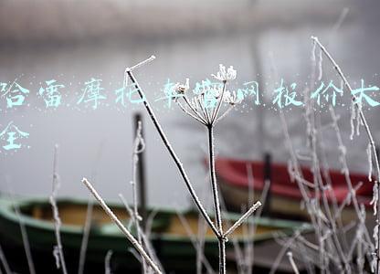 哈雷摩托车官网报价大全
