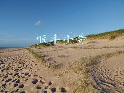 顺丰小哥