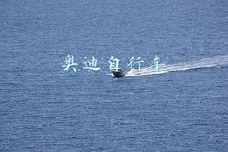 奥迪自行车