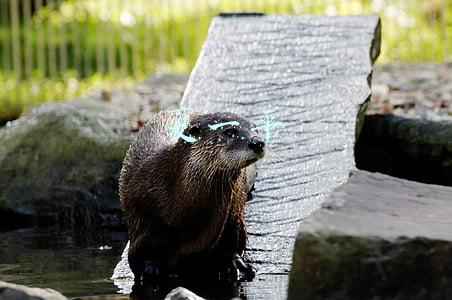 夏一平