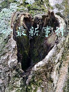 a2奶粉最新事件遭曝光