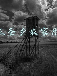 三圣乡农家乐