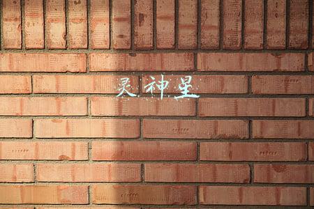灵神星