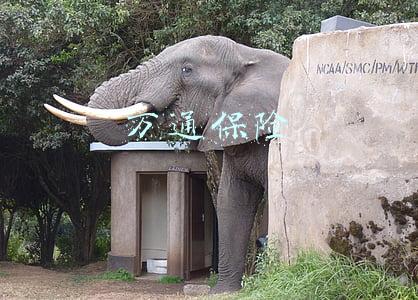 万通保险