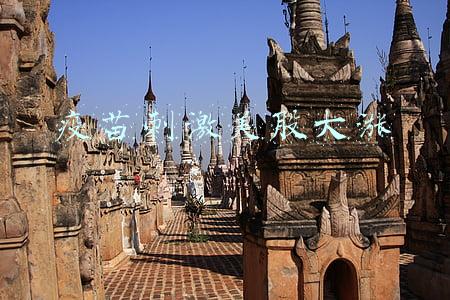 美国疫苗概念股大涨(第4针疫苗难防奥密克戎？美股疫苗板块应声大跌，国内新冠药物概念股强势上涨)