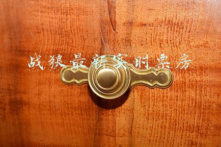 战狼最新实时票房