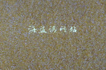 海盗湾网站