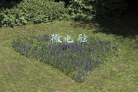 微电脑