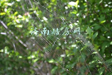 济南酷房网