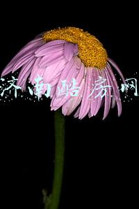 济南酷房网