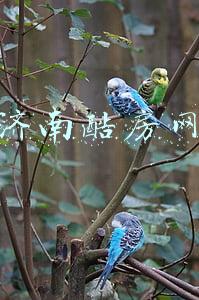 济南房产网新开楼盘：济南房产网