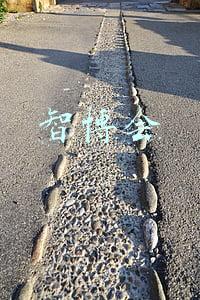 智博会