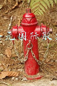 圣元国际股票300867今日(圣元环保(300867.SZ)：拟与有研工研院在福建共建氢能源研究院)