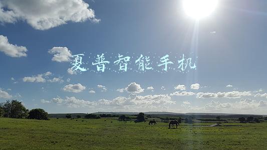 夏普智能手机