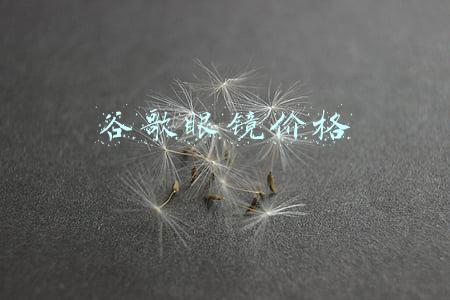 谷歌眼镜价格