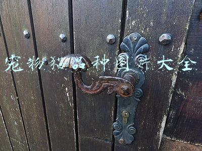 宠物猫的品种及价格大全，看完后都想买一只回家养：宠物猫图片品种