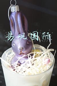 易观国际