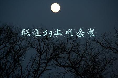 联通3g上网套餐