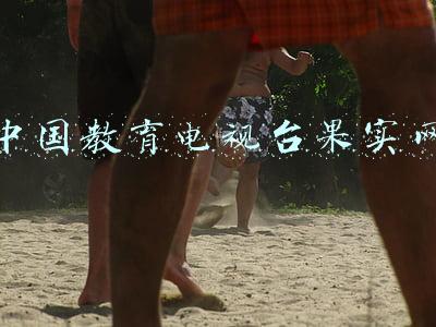 中国教育电视台果实网