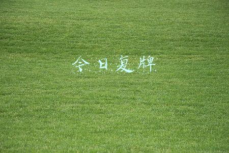 今日复牌股票一览(沪深两市今日起停复牌股票一览(12月15日）)