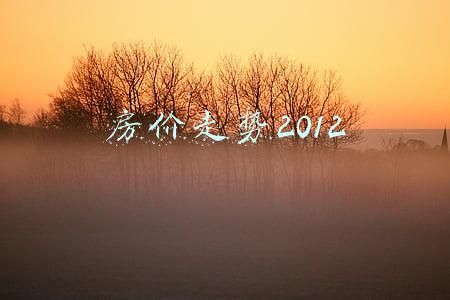 房价走势2012