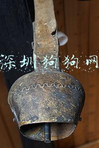 深圳狗狗网站-深圳狗狗网甘露