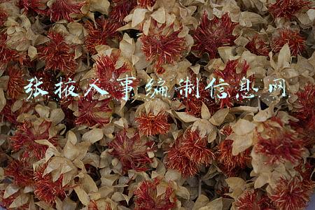 张掖人事编制信息网