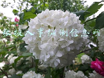 张掖市编办官网_张掖市编办信息网