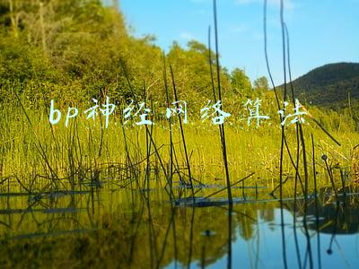 bp神经网络算法