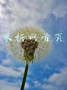 米折网首页