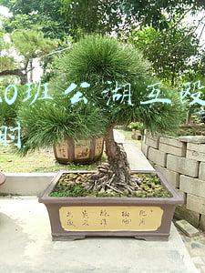2020班公湖互殴八小时