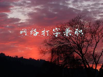 网络打字兼职