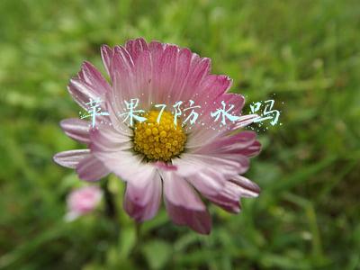 苹果7防水吗