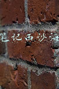 盗墓笔记西沙海底墓