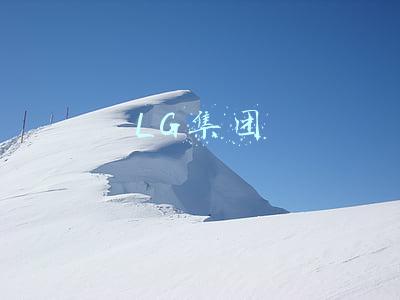 LG集团