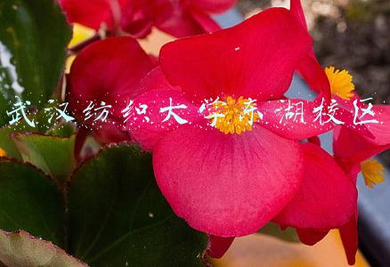 武汉纺织大学东湖校区