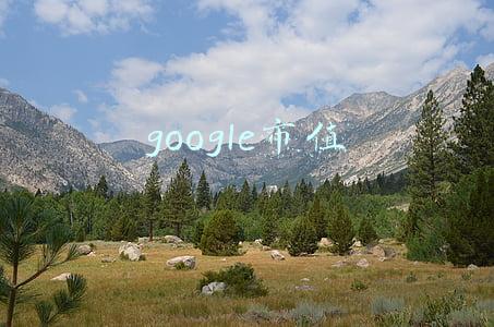 google市值多少美元(谷歌(GOOGL.US)大涨7.52%创历史新高 市值逼近2万亿美元)