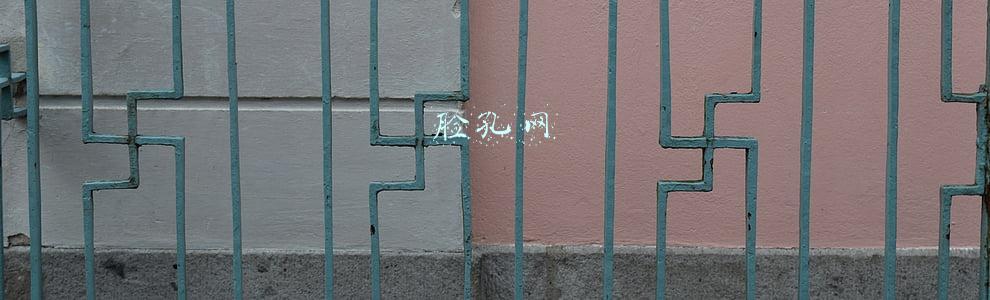 脸孔网