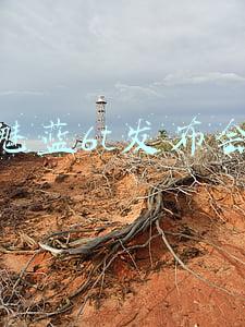 魅蓝6t发布会