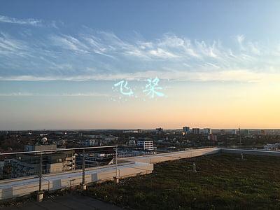 飞桨