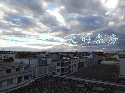 战狼2第一天的票房
