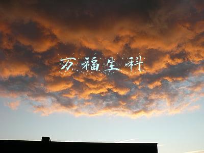 万福生科