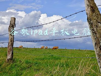 谷歌ipad平板电脑