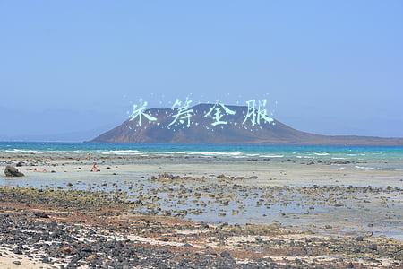 米筹金服