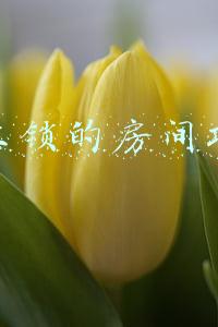 未上锁的房间攻略