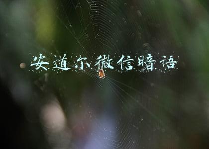 安道尔微信暗语