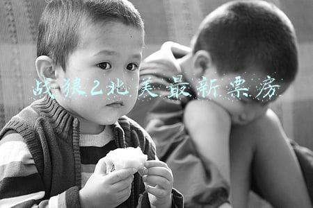战狼2北美最新票房