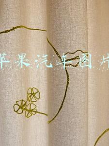 苹果汽车图片