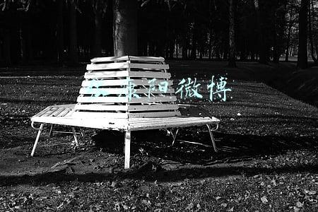 张康阳微博
